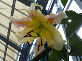 Foto: Dr. Peter Müller